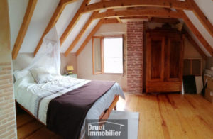 Maison en pierres avec chalet et grand terrain attenant