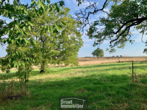 Maison en pierres de type 3 sur 2.500m2 de terrain