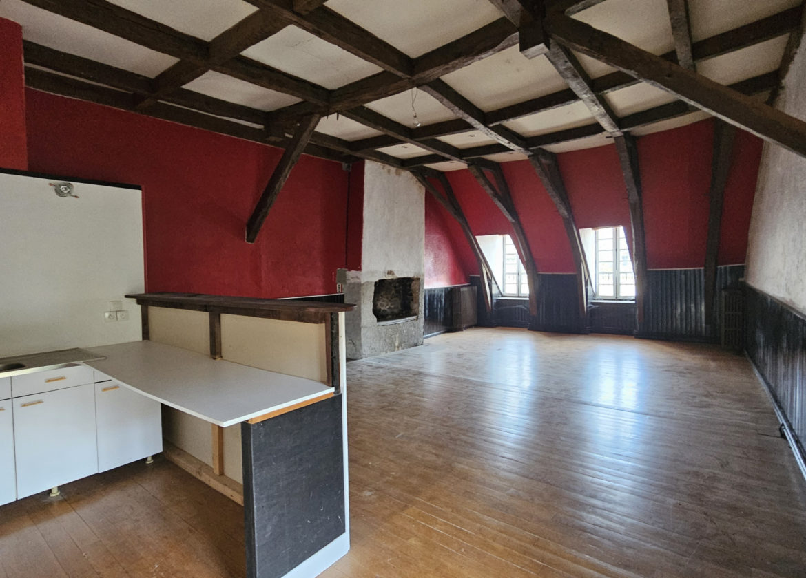 APPARTEMENT DUPLEX - TERRASSE - COEUR DE VILLE -STATIONNEMENT