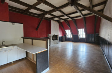 APPARTEMENT DUPLEX - TERRASSE - COEUR DE VILLE -STATIONNEMENT