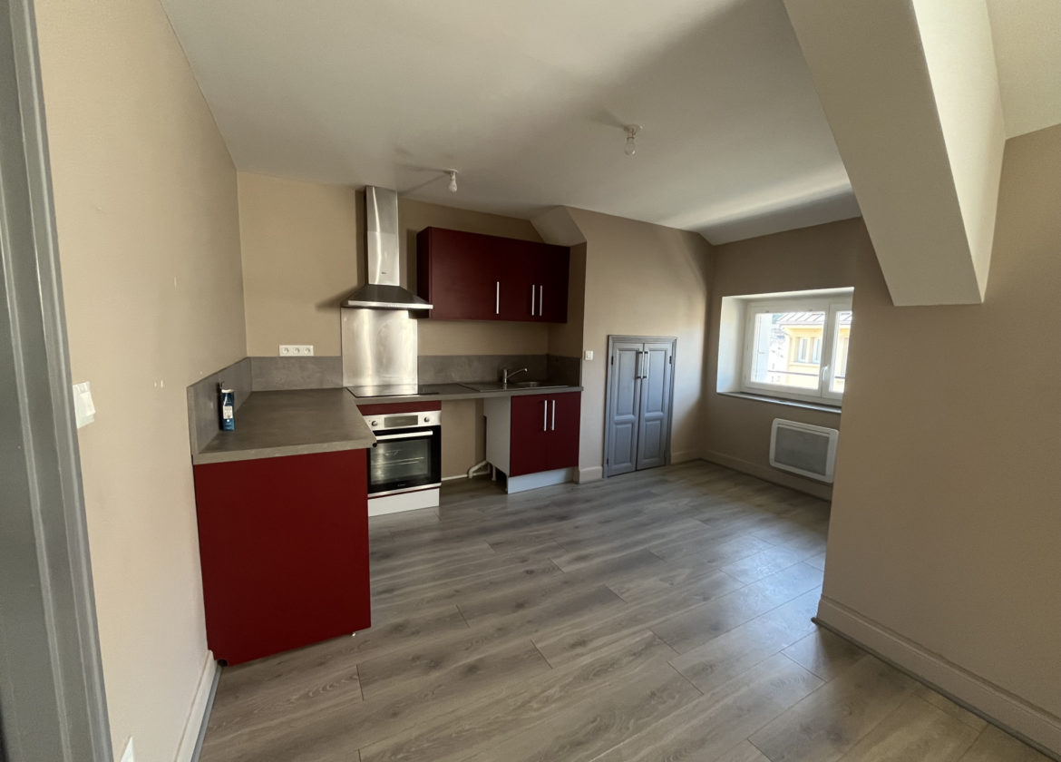 APPARTEMENT T3 RENOVE COEUR DE VILLAGE