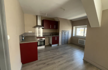 APPARTEMENT T3 RENOVE COEUR DE VILLAGE