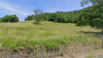 ESTAING, terrain de plus de 2ha, en partie constructible.