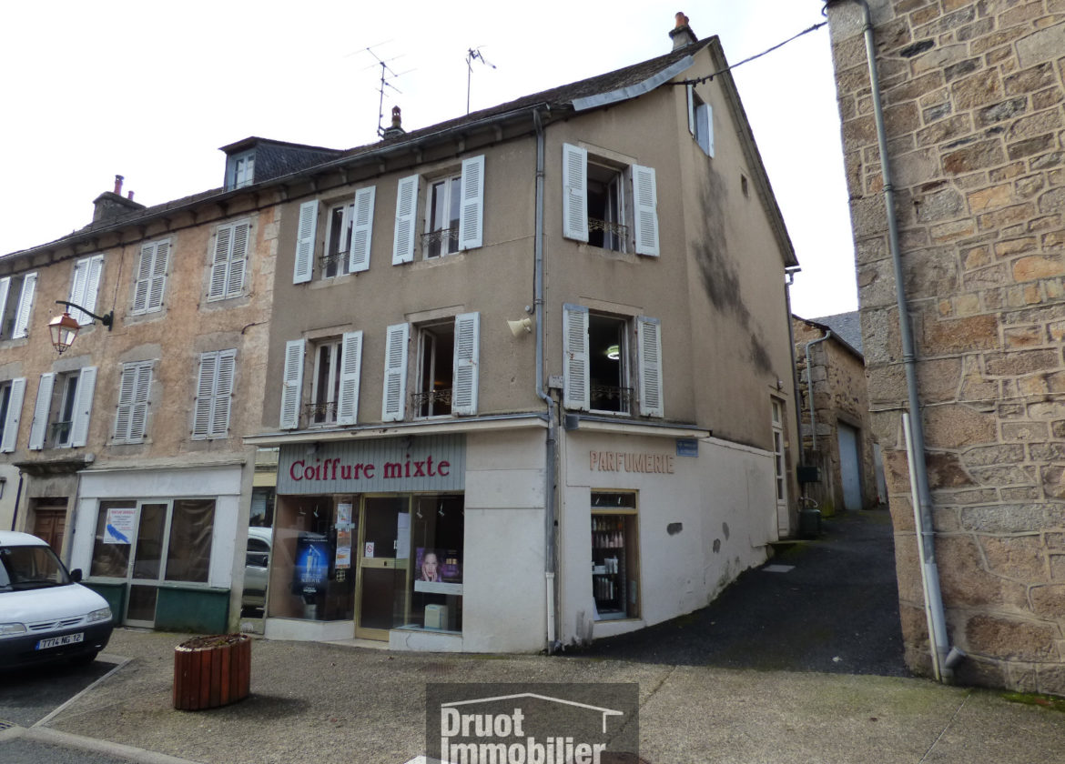 Immeuble Centre-ville Sainte Geneviève